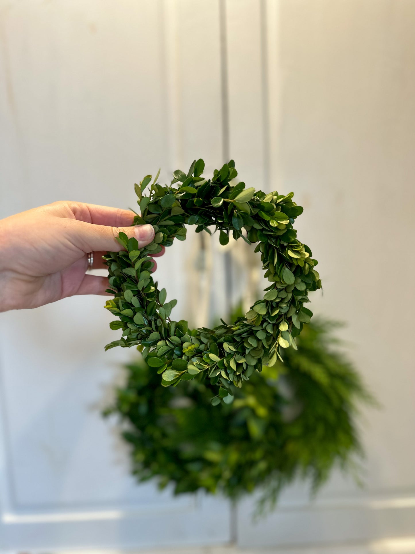 mini fresh african boxwood wreath