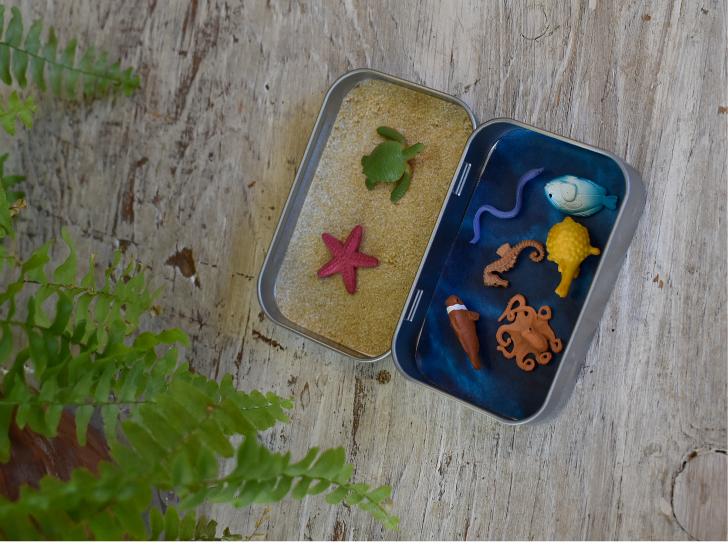 animal tin | mini sea creatures