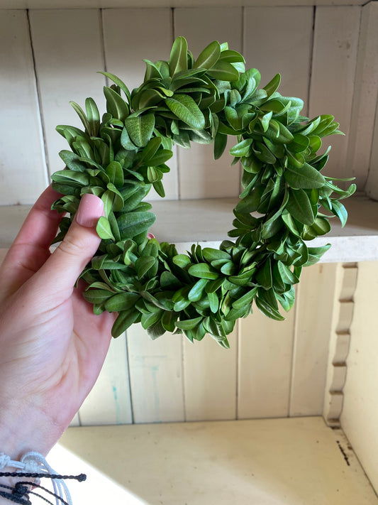 mini fresh boxwood wreath