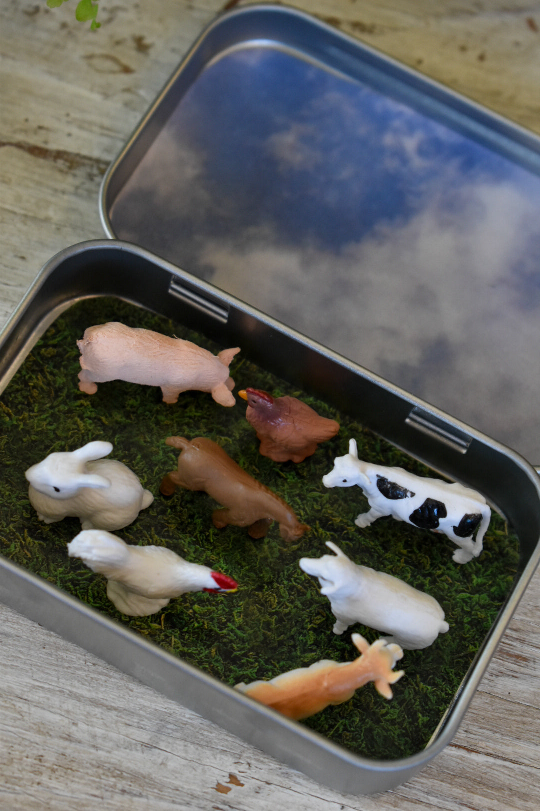 animal tin- mini farm