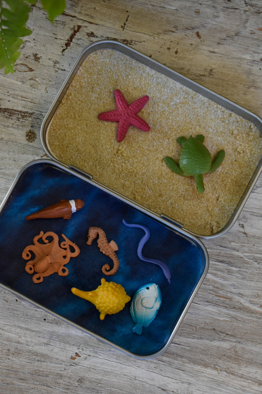 animal tin | mini sea creatures