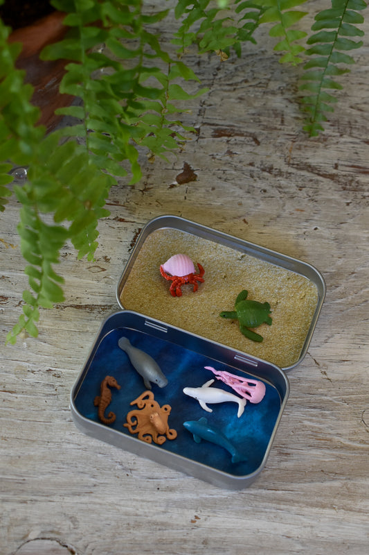 animal tin | under the sea