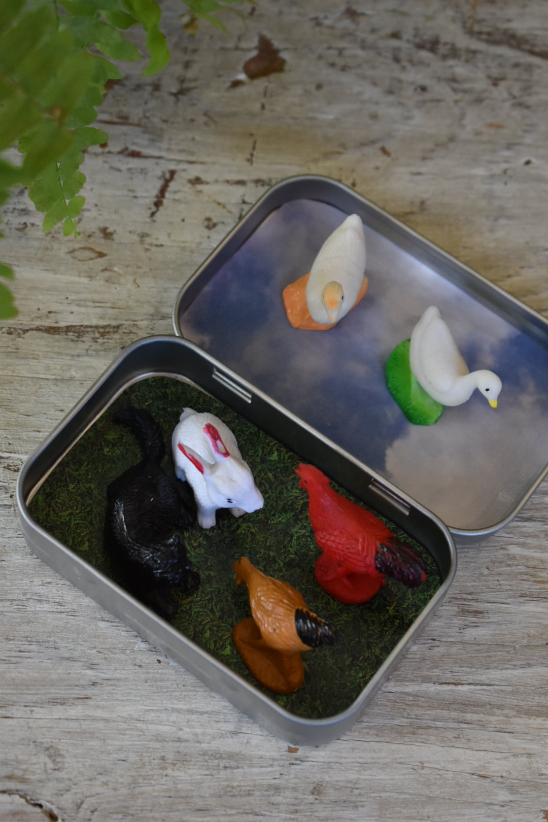 animal tin | farm fowl