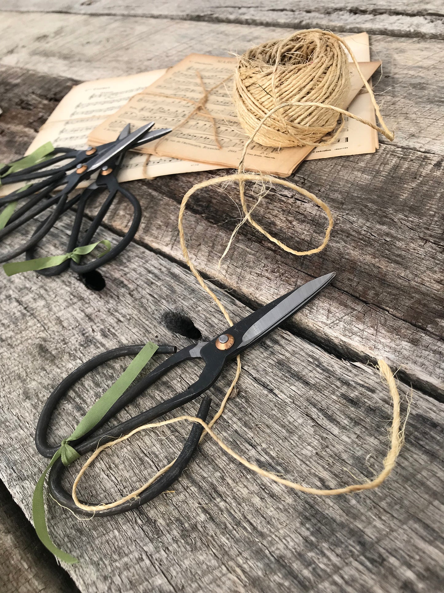 metal garden scissors